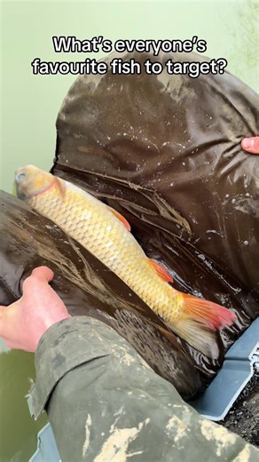 Favorite Fish to Target in Nature