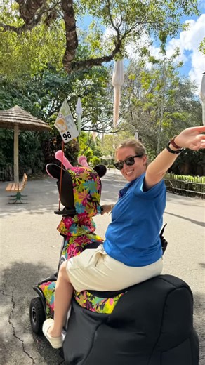 Zoo Miami on Instagram: "Her name isn’t Judy, but she CAN show you where you can find the only sub-tropical zoo in the United States. Hint…. It’s us 😉 The unique climate in South Florida allows us to care for a wide variety of animals from Asia, Australia, Africa, and the Americas representing a broad mix of species that is unlike any other zoo in the country."