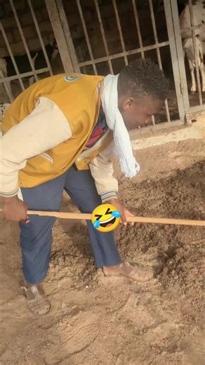 Vidéos de Ablaye Diop (@ablaye.diop9565) avec son original - Ablaye Diop