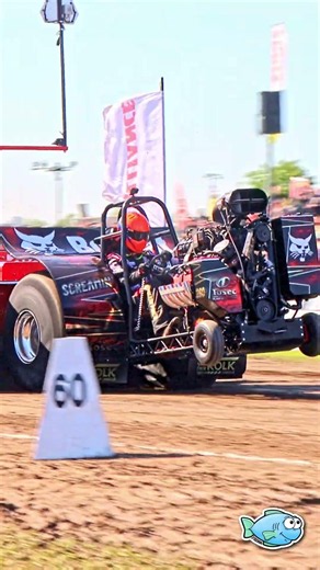 'Screamin Bobcat' V8 Minipuller im Eurocup