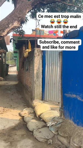 Ce mec est trop malin 🤣🤣😂 #fypシ #everyone #highlights #foryouシ #comedy | Sleyg Haïti