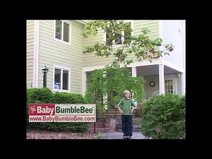 Question Words preview text