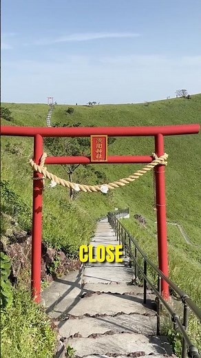 3 Best Day Trip Spots from Tokyo 🇯🇵 #japantravel #japantrip #tokyotravel