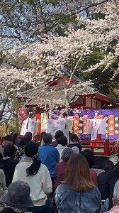 4月28日玉前神社「花見の宴」の第二部「神楽舞」に千葉県神社雅楽会神楽舞稽古会の会員が氏子の子供たちと共に出演させていただきました。県内各所の神社の神職、巫女、一般の方も日頃の研鑽を玉前の神様にご覧いただきました。満開の桜の下に作られた舞台に春の光が降り注ぐ素晴らしいひとときでした