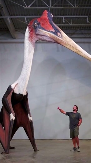 The Flying Giant Larger Than a Giraffe #shorts #tamil #tamilvoiceover #twinfacts