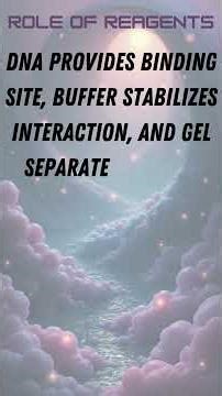 Electrophoretic Mobility Shift Assay EMSA