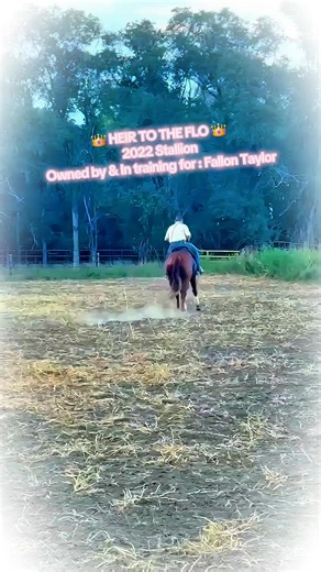 FULL SHOWCASE VIDEO COMING SOON ! 📸🎥 Fallon Taylor "HEIR TO THE FLO" just hopped on the bus to head back to Texas this morning! Was a pleasure having him here this Summer, and looking forward to all the great things he's going to accomplish with his Team back home 🙌 #GraduationDay 🎓 #ClientShowcase #Stallion #HeirToTheFlo #FallonTaylor #RodneyYostHorsemanship #PuttingThePedigreeToWork | Rodney Yost Horsemanship