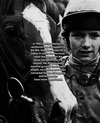 #SHERGAR || did you know? || #shergartheracehorse #horselegends #racehorses #racehorsehistory ||