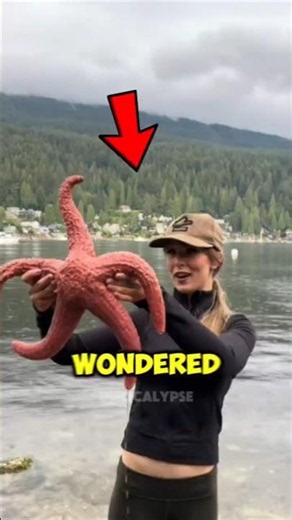 These 3 Animals Can Regrow Their Body Parts… Number 1 Is Basically Immortal! 😱