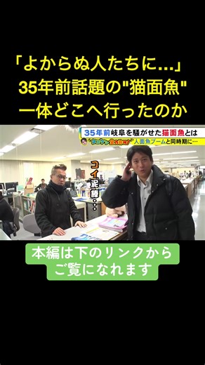 猫面魚の真実と衝撃の調査結果