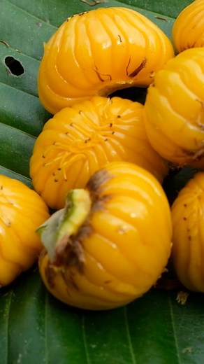 yellow fruit | Ronal Kin P