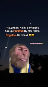 Follow Ky Razilano: Negative vs. Positive