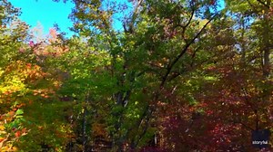 Vibrant Fall Colors Spread Across Kentucky Mountains
