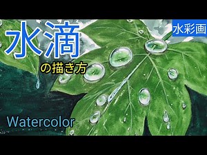 [Watercolor painting]/How to draw water droplets on leaves with transparent watercolor/for beginners