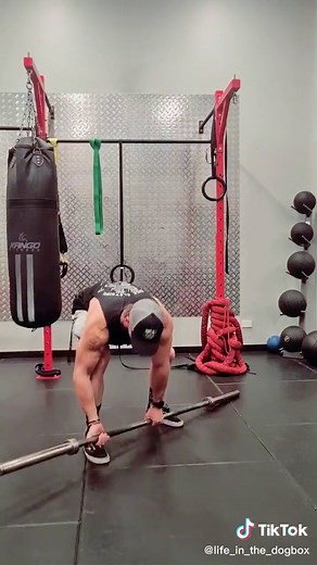 Able Tasman, James Cook, William Hobson. theiven 😑 #nz #history #white #joke #maori #debate