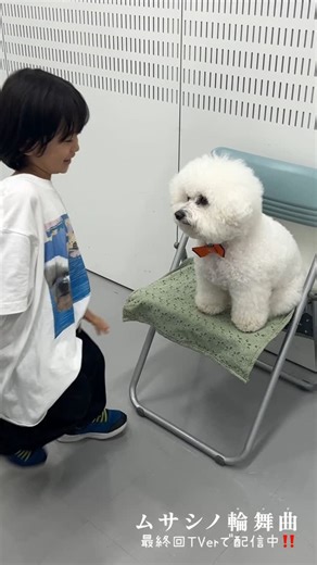 ポンのきもち | . なかよしなんだ〜 #ムサシノ輪舞曲 #ムサシノロンド #ポンのきもち #ポンきも #うれしい #応援団のみなさん #最終回 #今日こそ大事タイム #TVer #よろしくお願いします🐩 #Aぇǃgroup #Destiny #正門良規 #高梨臨 #髙地優吾... | Instagram