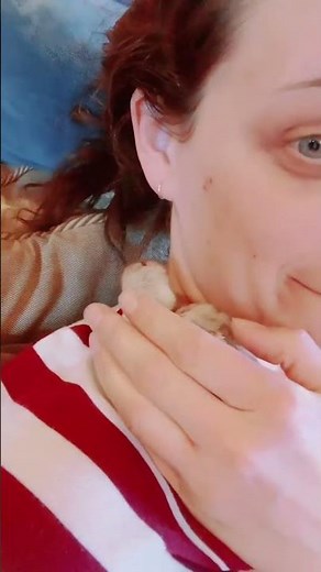 Chatty baby turkey sounds guaranteed to brighten your day