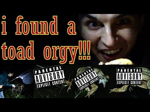 The sexual world of the TOAD!