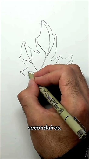 Drawing an Autumn Leaf: The Structure That Works for Every Leaf