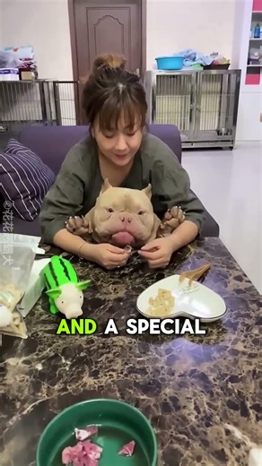 First Time Mom Dog Gives Birth to 8 Puppies 🐶🥹 Emotional Rescue Story!