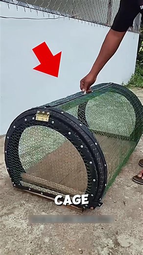 Start the chicken growth stage at low cost🐓🤯#farm