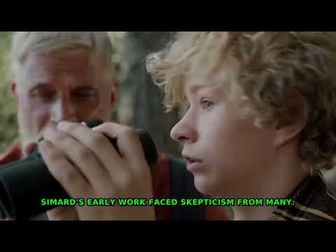 The Secret Language of Trees: Unveiling Nature's Hidden...