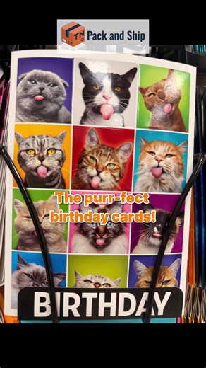 Cat people, this one’s for you 😻 The coolest birthday cards with your fave fur babies are here! 300 Pleasant Grove Rd #325, Mt. Juliet, TN (615) 288-4491