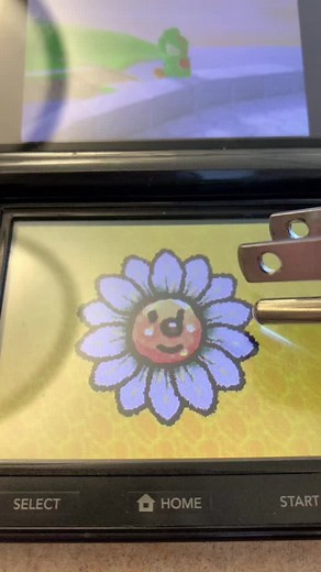 Nintendo 3DS Game Interaction Explained