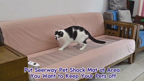 Toddler Drum Set for Kids 1-3, Baby Drum Set 1 Year Old with Light-Up Microphone, Musical Instruments Montessori Learning Toys for 6 9 12 18 Months, Birthday Gift for Boys Girls (BLUE)