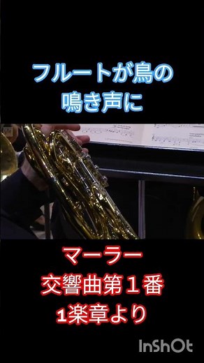 マーラー 交響曲第１番1楽章より