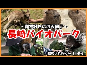 [Nagasaki Bio Park] Animal-Touch-No.1～Heavenly ministry for animal lovers!～