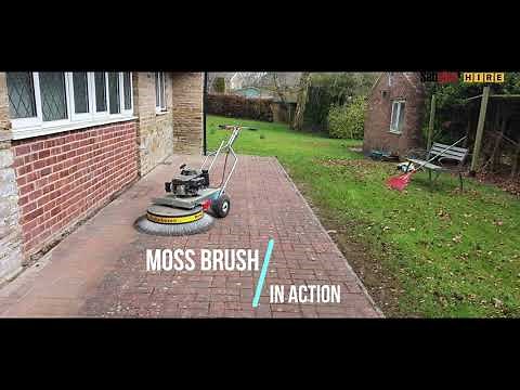 Westermann Power Moss/Weed Brush