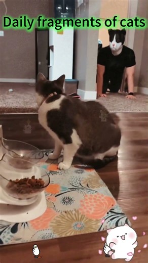 Por favor comparte con tus amigos #pov #herramientas #sketch #gracioso #actuación #historia