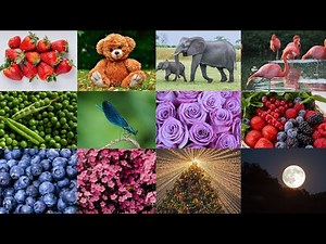 Red Red Strawberries - Red Apples on the trees | Nursery Rhymes | Learning English Preschool Rhymes