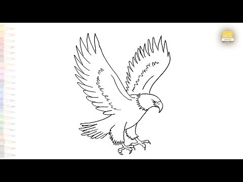 Bald eagle flying drawing easy | Bird drawing tutorial | How to draw A Bald eagle step by step