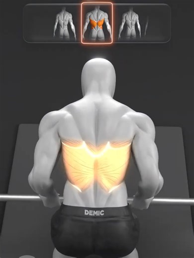 Smith Machine Rows — BIG Difference Same machine. Different grip. Different results. Here’s how to bias lats vs upper back correctly. #smithmachine #backworkout #rowingexercise #gymhacks #fitnesseducation #musclebuilding #latworkout #upperback #workouttips