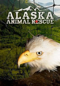 Alaska Animal Rescue - streaming tv series online