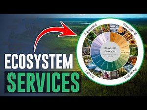What are Ecosystem Services?