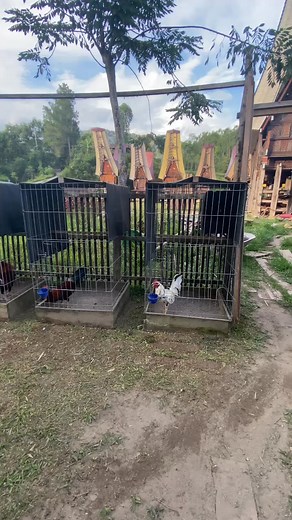 Trima kasih kandaku. 😁🙏🙏 | Brend Tallang Mamata