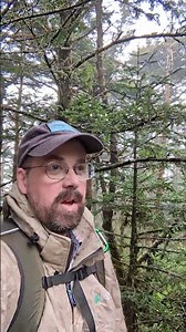 Mt Rogers, highest point in Virginia