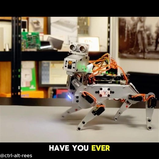 Build Your Own Robot Dog That Actually Feels Alive 🐶🤖