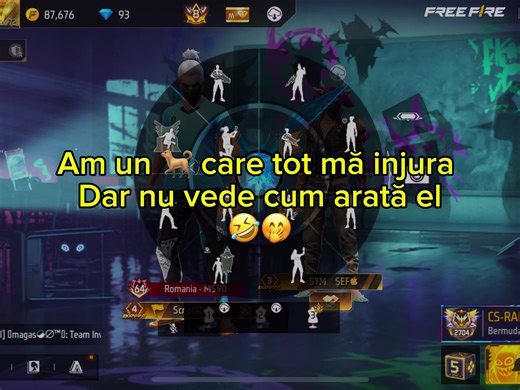 Mai e și pe invers😔 #ffscriptexe1 #foryou #viral #freefire #danimocanu