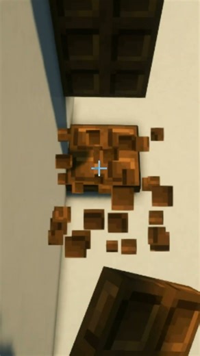 Strange Tall Shelf in Minecraft