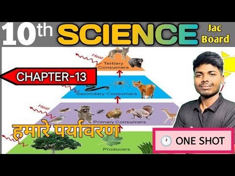 Class 10th Science chapter -13 (हमारे पर्यावरण) jac Board #One_shot #jac #new_ncert #important