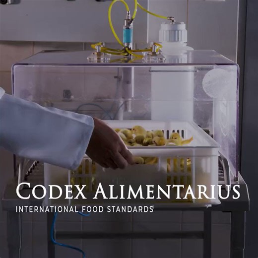 📽️ | Veterinarians are involved in all aspects of the food supply chain, from farm to fork.👉 Here are 5⃣ reasons veterinarians are vital to food safety and Codex work.#WorldVeterinaryDay | #FoodSafety