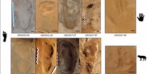 80,000-year-old footprints reveal Neanderthal social life