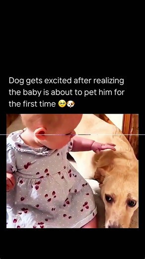 Current Trends in Hollywood Movie Clips