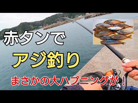 アジ釣りで有名な【赤タン】投げ浮き釣りでも釣れるのか?簡単な作り方も!釣中にまさかの大ハプニングが‥‥
