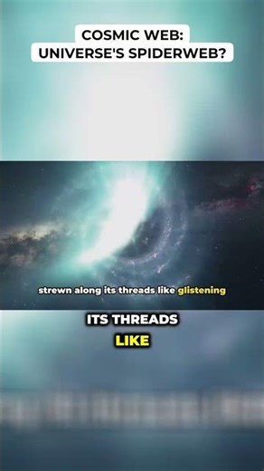 Cosmic Web: Universe's Spiderweb?