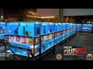 Biggest flowerhorn show prizes in the Philippines | Padayon Pilipinas 2023